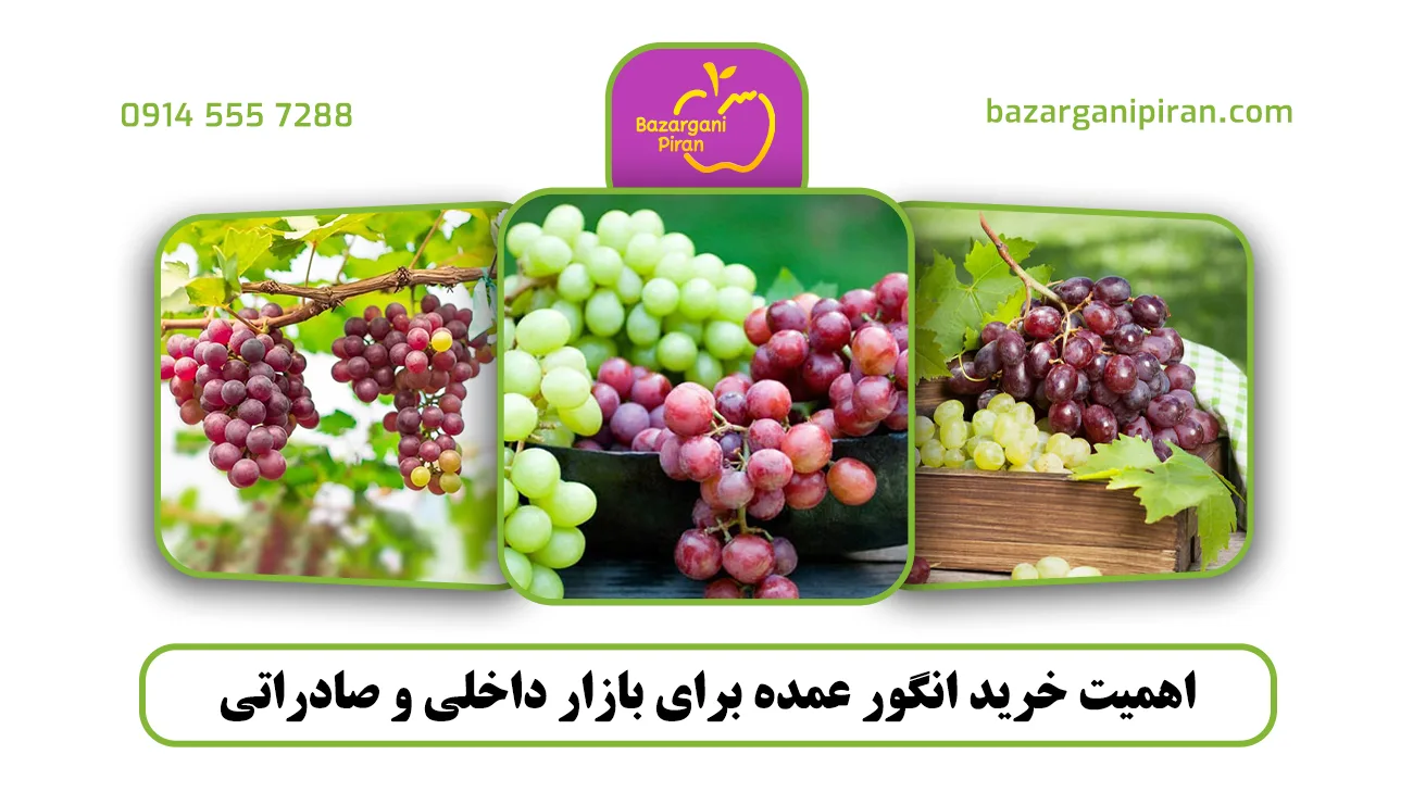 اهمیت خرید انگور عمده برای بازار داخلی و صادراتی