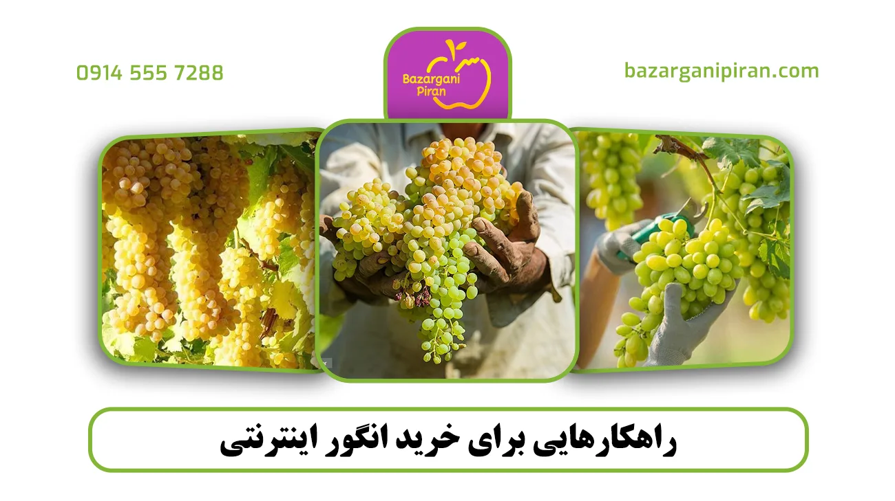 راهکارهایی برای خرید انگور اینترنتی