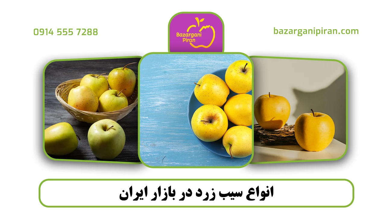 انواع سیب زرد در بازار ایران