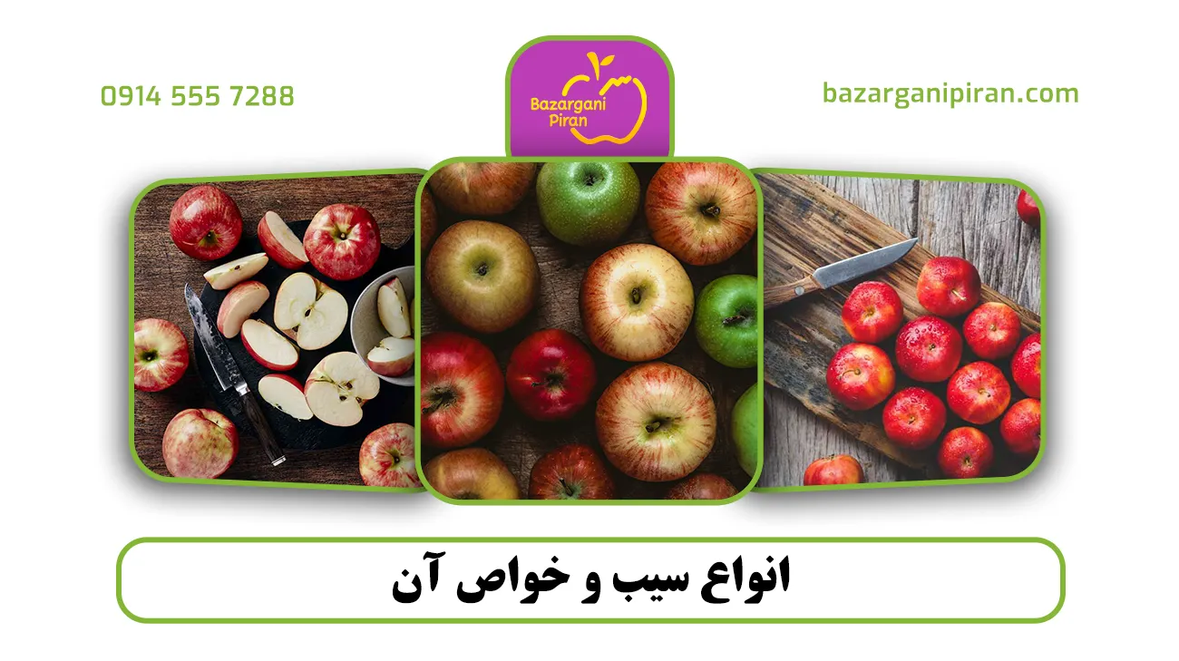 انواع سیب و خواص آن