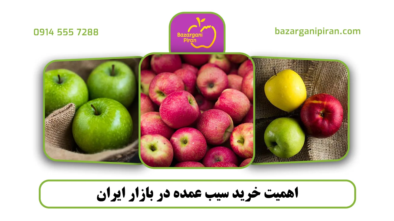 اهمیت خرید سیب عمده در بازار ایران