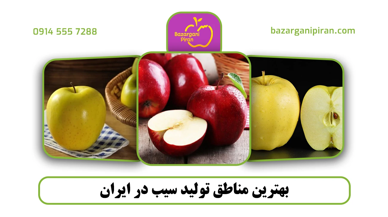 بهترین مناطق تولید سیب در ایران