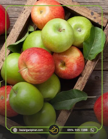 شرایط لازم برای صادرات سیب به چین​