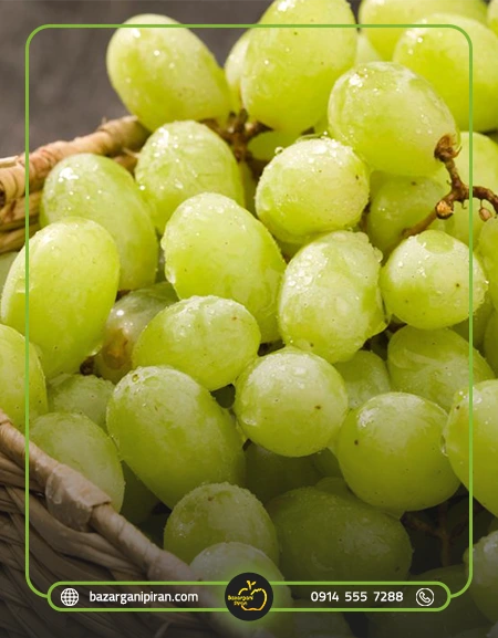 مراحل صادرات انگور به امارات​