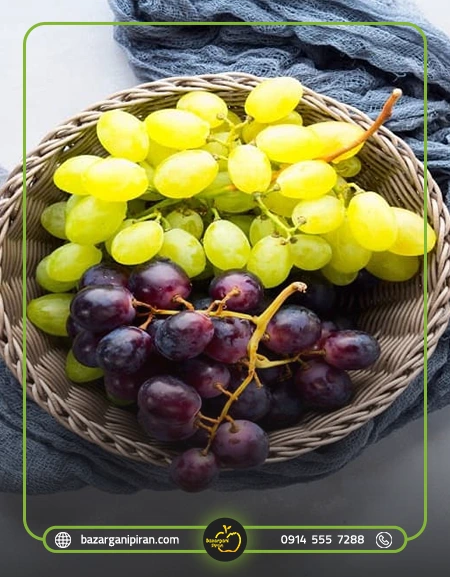 صادرات انگور به روسیه​