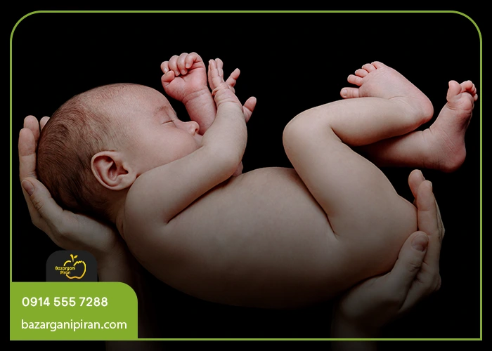 چرا میوه‌ها بر زیبایی جنین تأثیر دارند؟