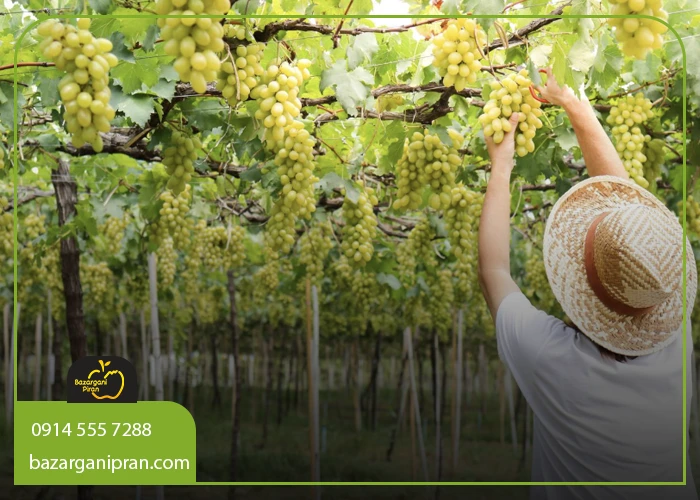 مراقبت‌های لازم در فصول گرم سال