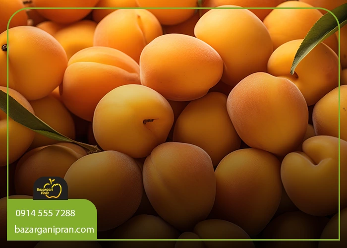 میوه‌ های مناسب برای دیابت؟