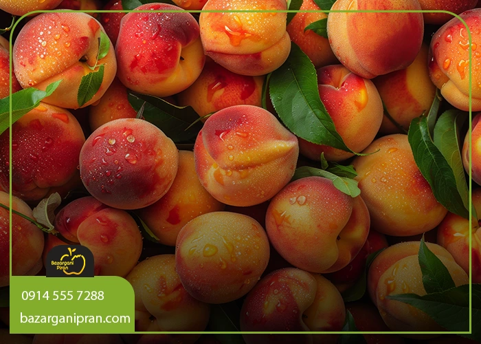 میوه‌ های مناسب برای دیابت؟