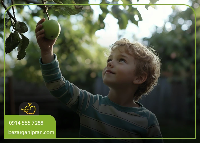 میوه‌ های مفید برای کودکان